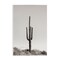 Stupell Industries Clear Afternoon Cactus Wall Plaque Art Design by Nathan Larson